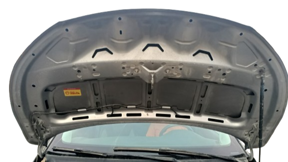 CAR HOOD