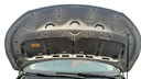 CAR HOOD