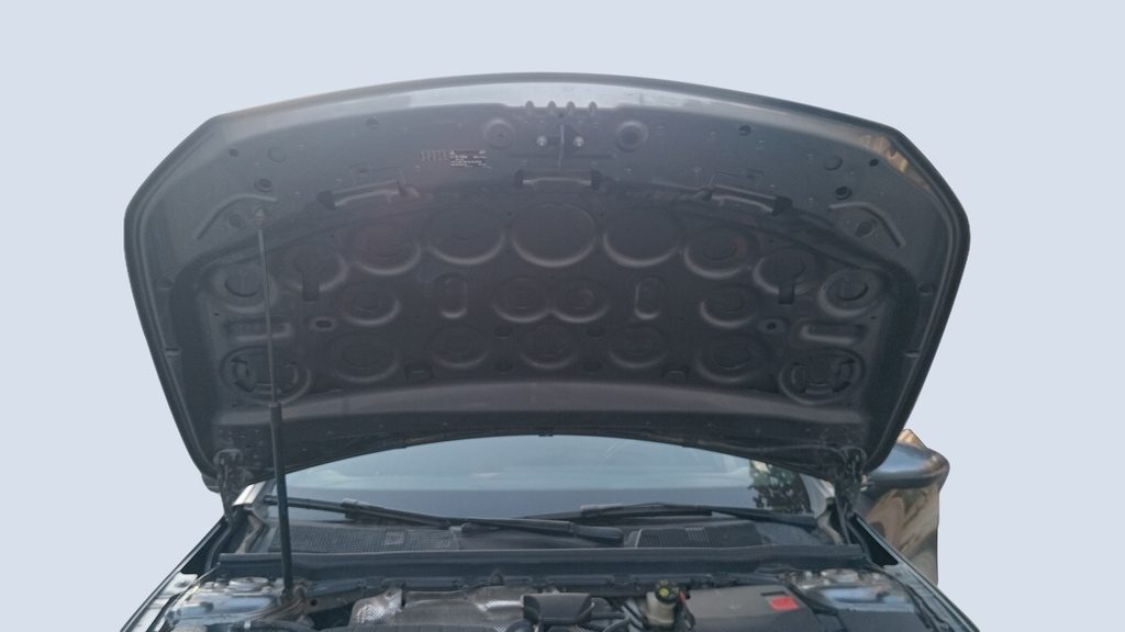 CAR HOOD