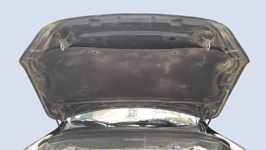CAR HOOD