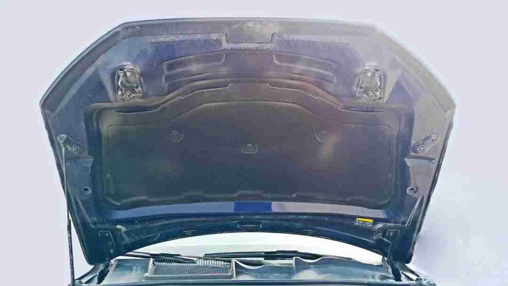 CAR HOOD