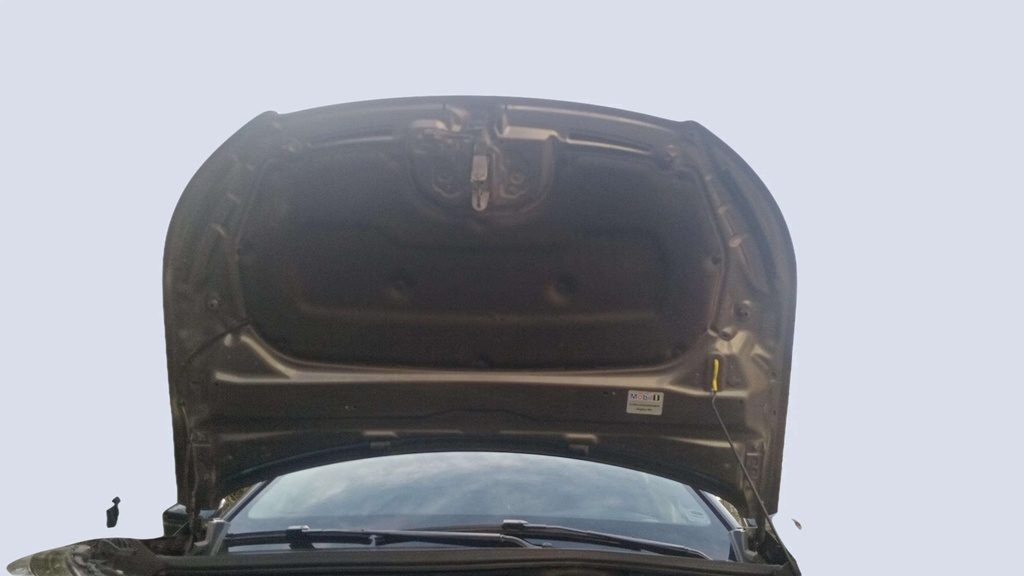 CAR HOOD