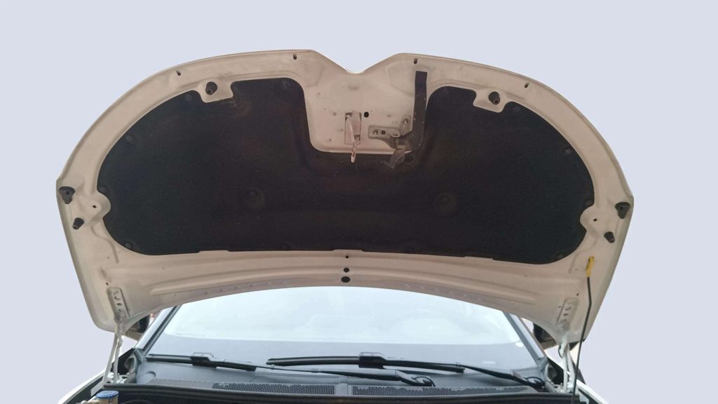 CAR HOOD