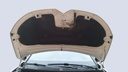 CAR HOOD