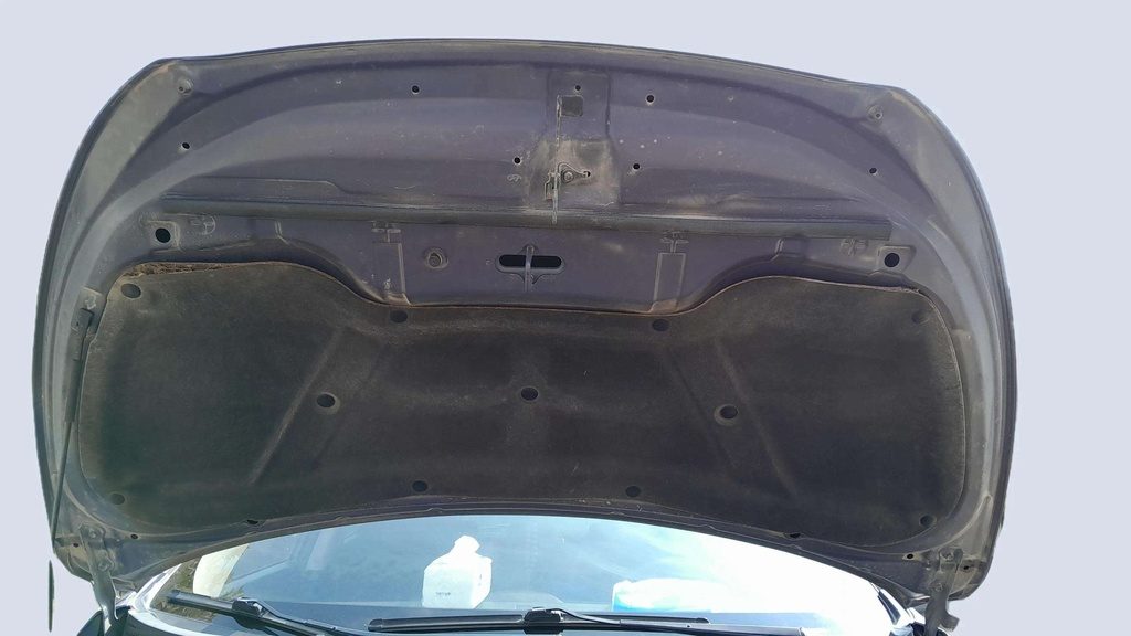CAR HOOD