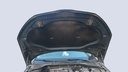 CAR HOOD