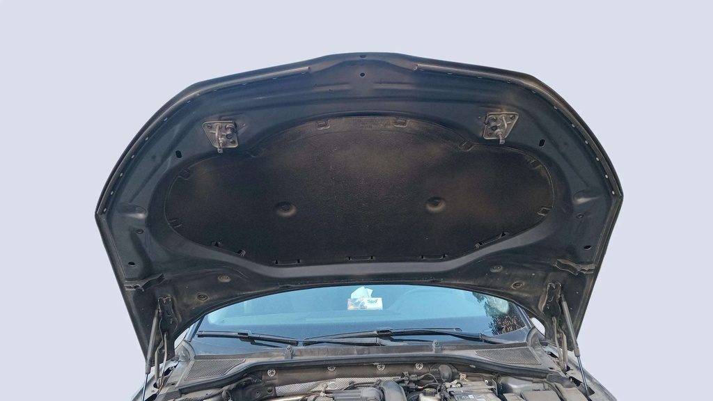 CAR HOOD