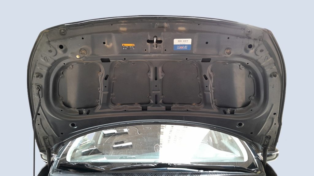 CAR HOOD