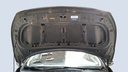 CAR HOOD