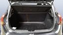 TRUNK