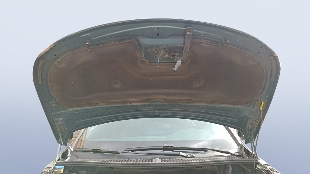 CAR HOOD