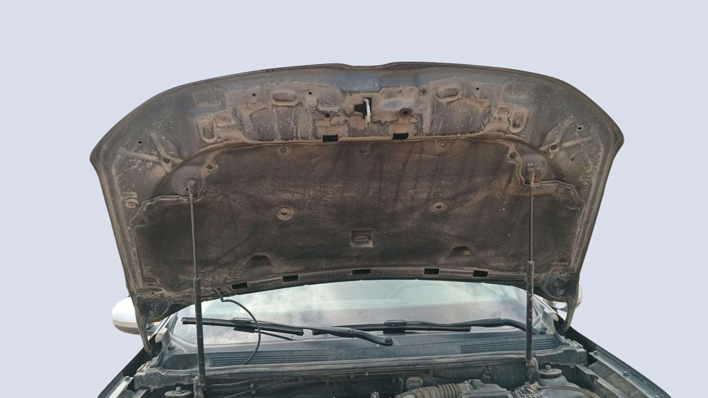 CAR HOOD