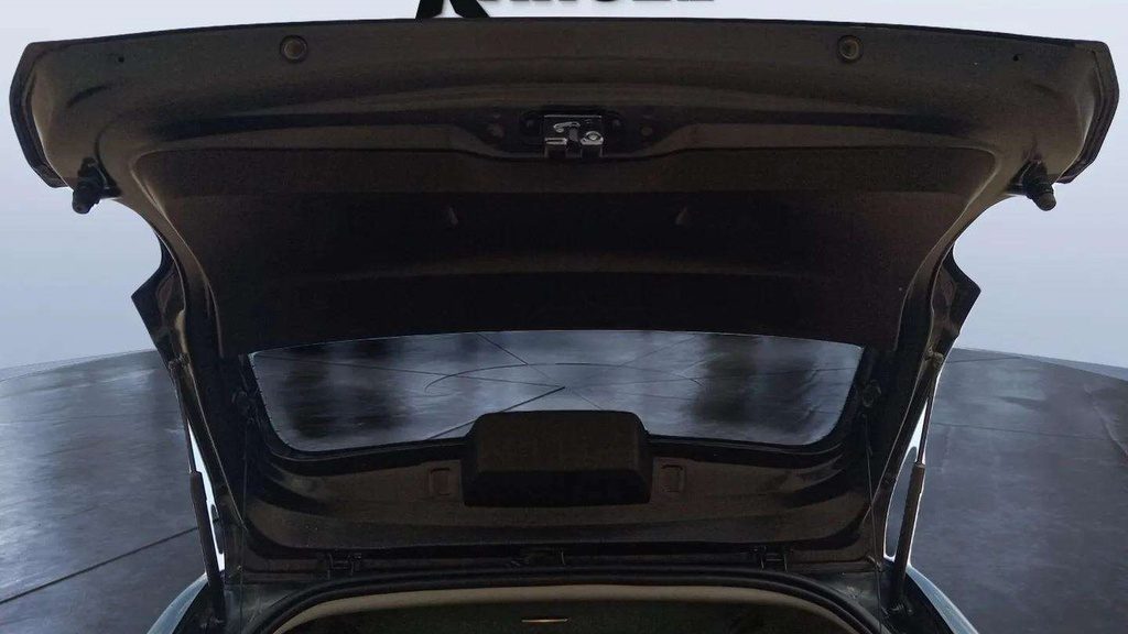 TRUNK HOOD