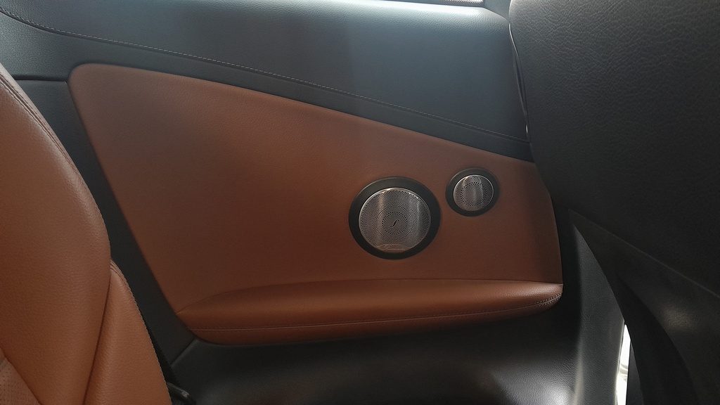 RR L DOOR