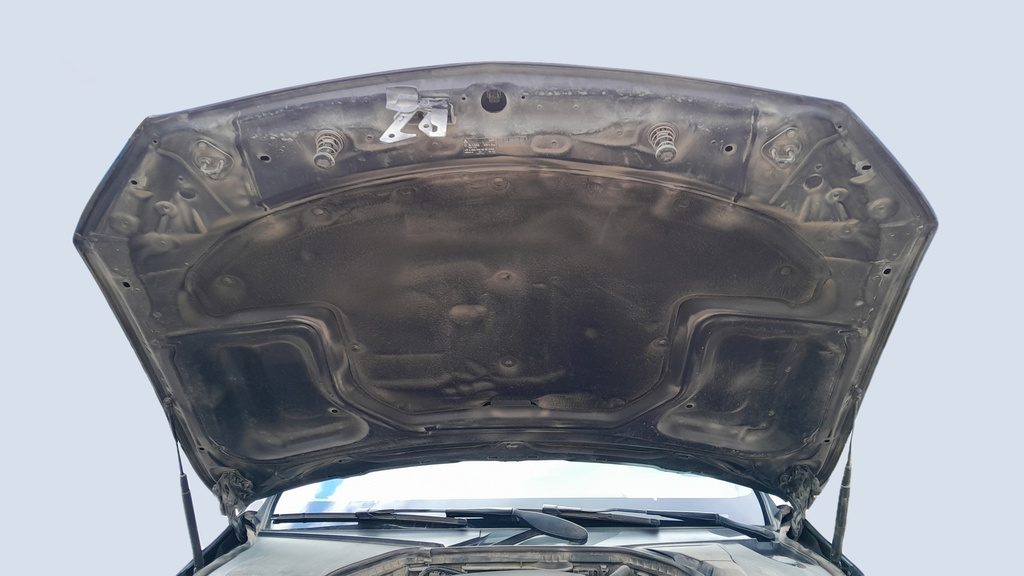 CAR HOOD