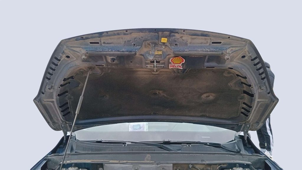 CAR HOOD