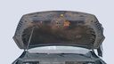 CAR HOOD