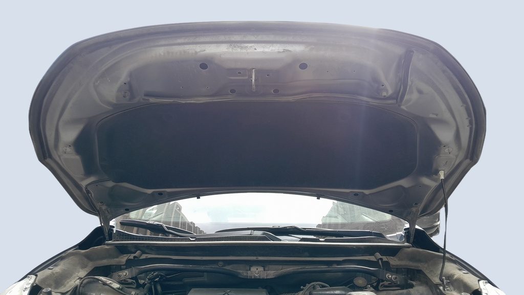 CAR HOOD