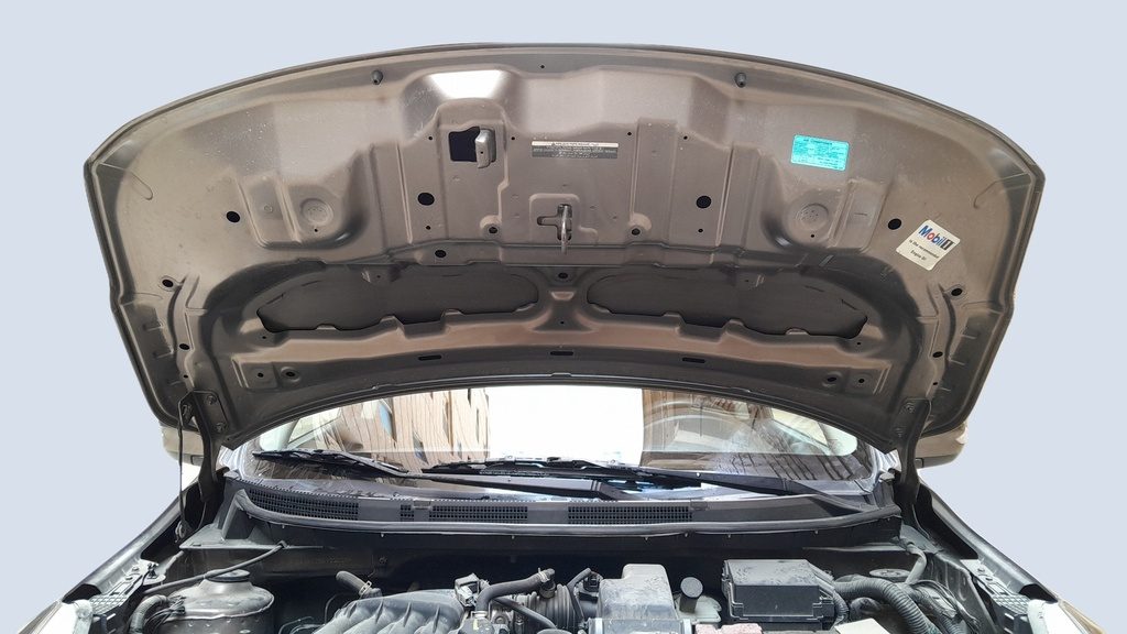 CAR HOOD