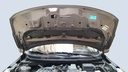 CAR HOOD