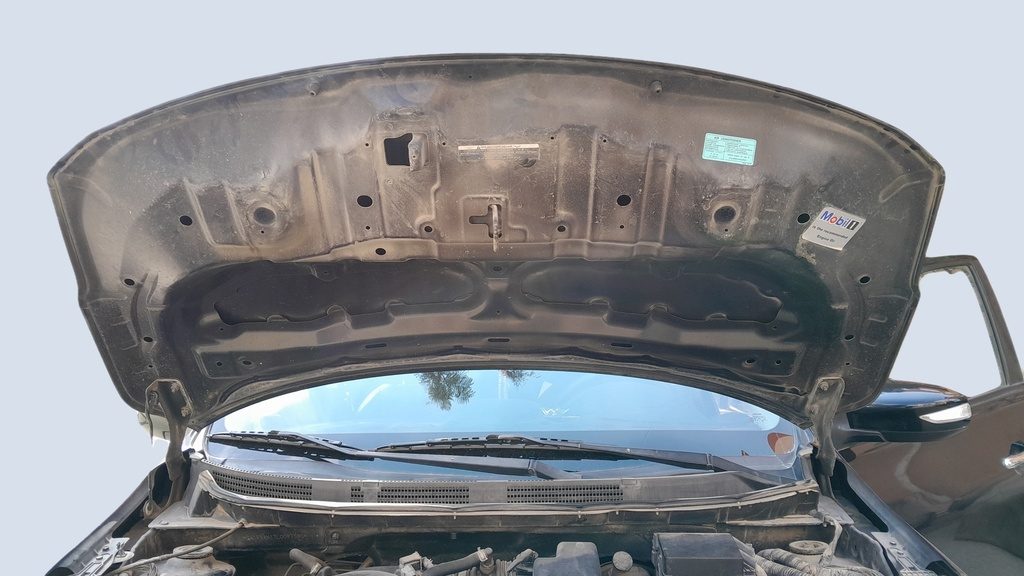CAR HOOD