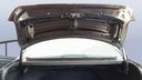 TRUNK HOOD