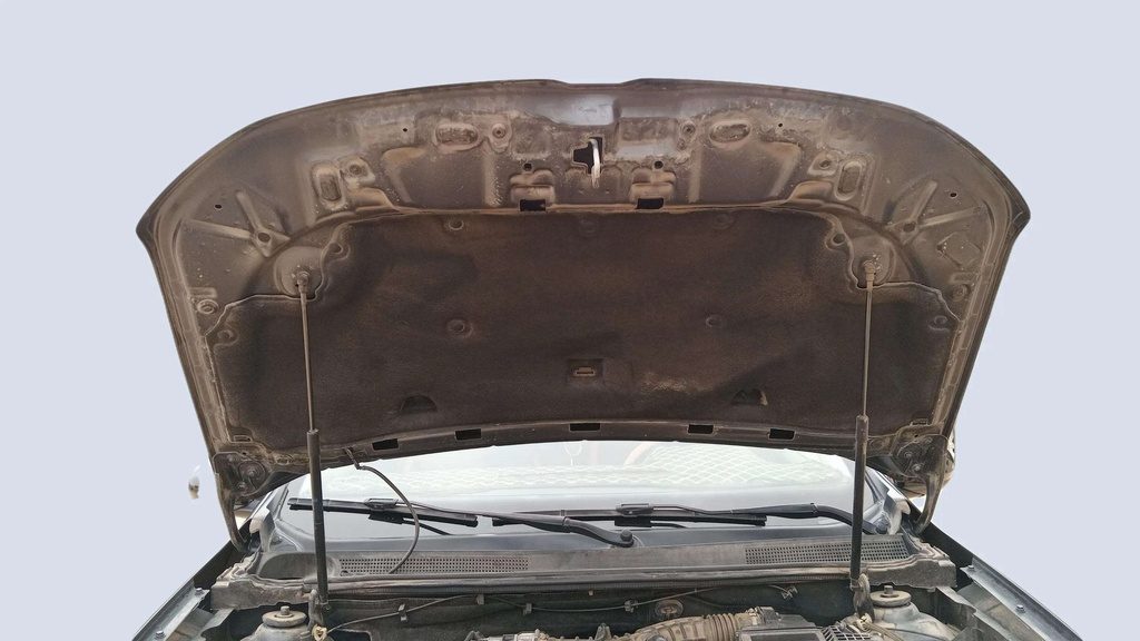 CAR HOOD