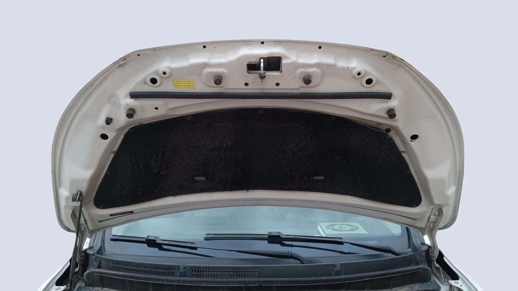 CAR HOOD