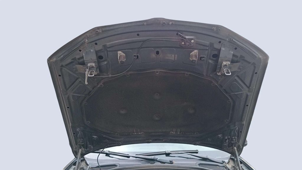 CAR HOOD
