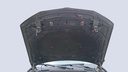 CAR HOOD