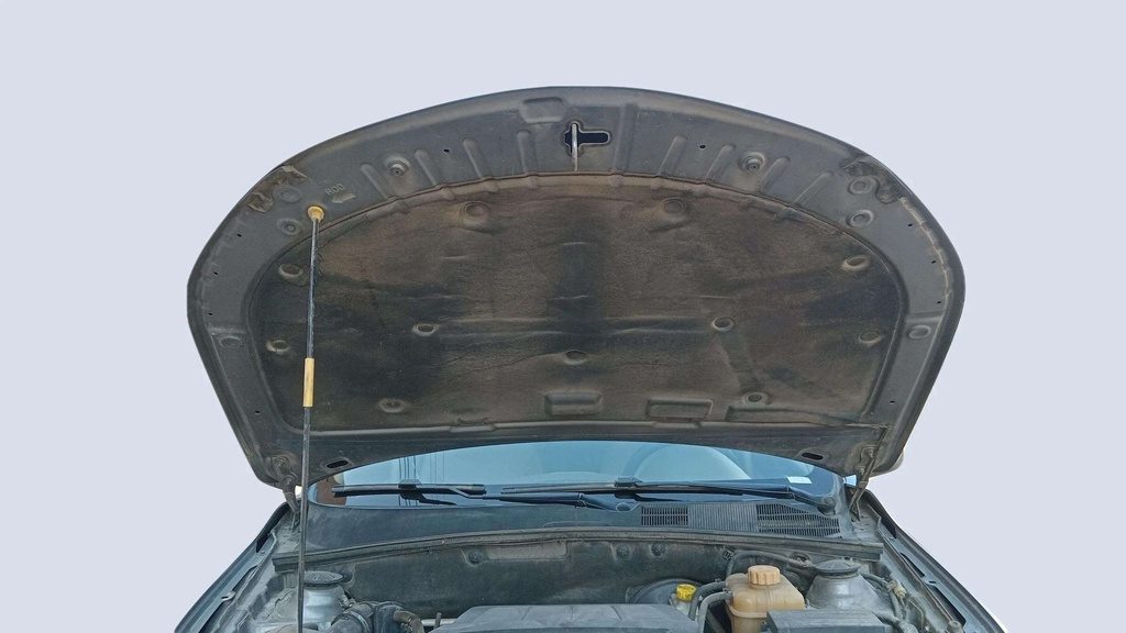 CAR HOOD