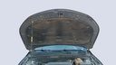 CAR HOOD