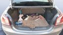 TRUNK