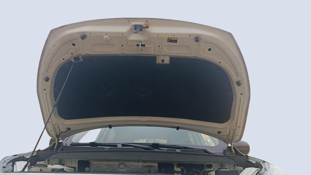 CAR HOOD