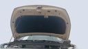 CAR HOOD