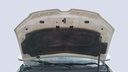 CAR HOOD