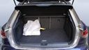 TRUNK