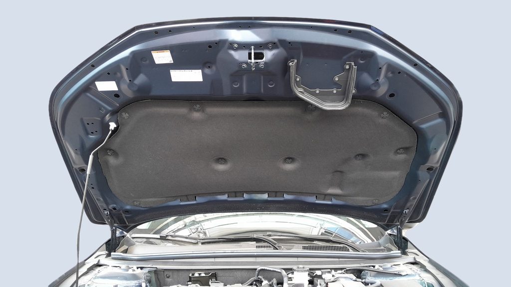 CAR HOOD