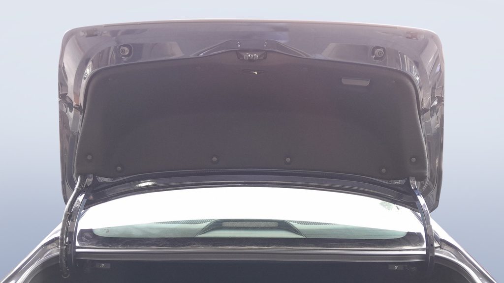 TRUNK HOOD