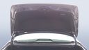 TRUNK HOOD