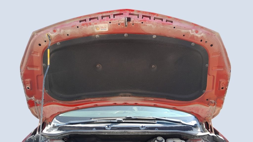 CAR HOOD