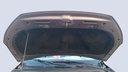 CAR HOOD