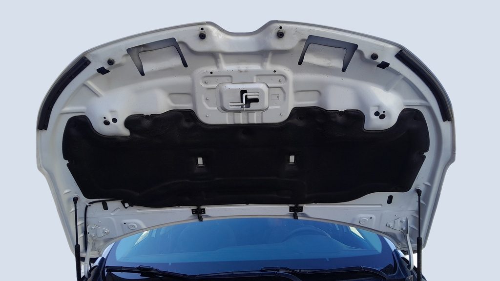 CAR HOOD