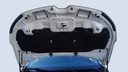CAR HOOD