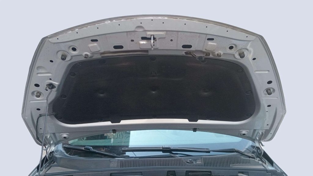 CAR HOOD