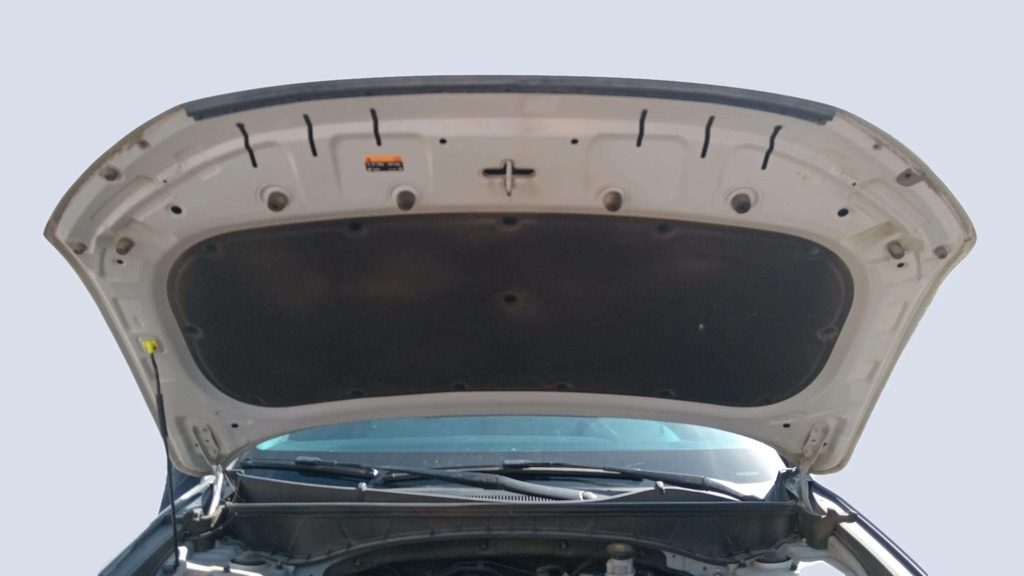 CAR HOOD