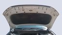 CAR HOOD