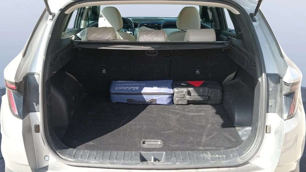 TRUNK