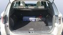 TRUNK