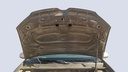 CAR HOOD